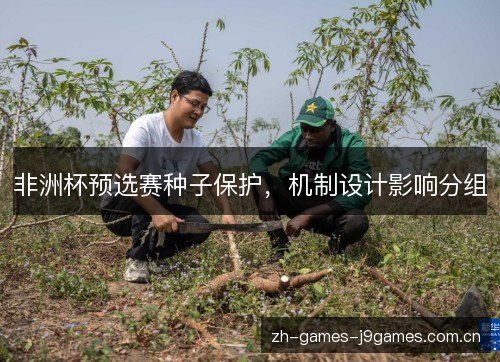 非洲杯预选赛种子保护,机制设计影响分组 非洲杯预选赛种子保护,机制设计影响分组